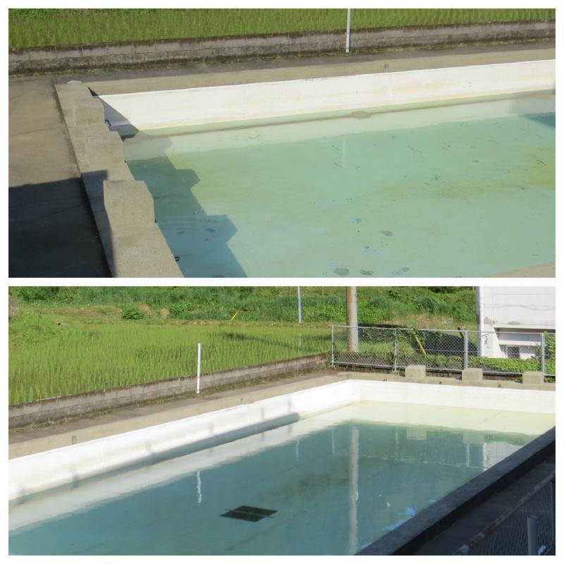 清掃後、水をためています！
